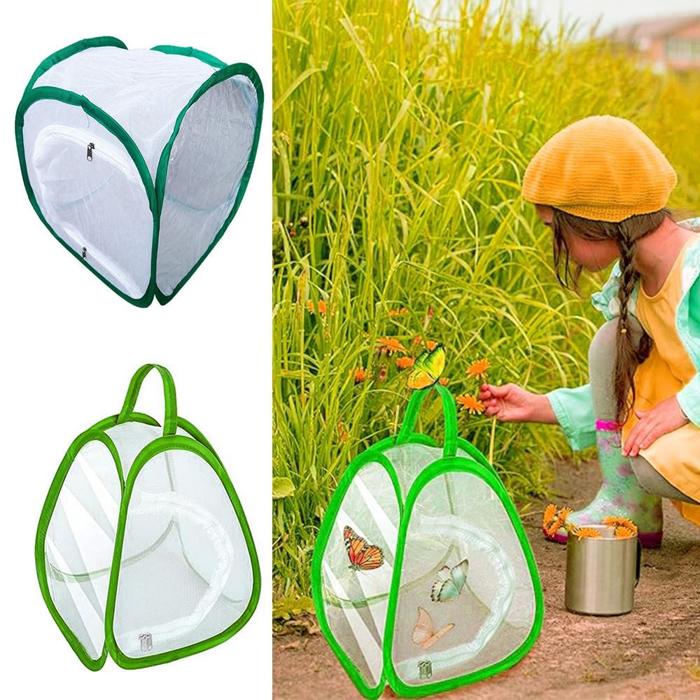 Yeşil Katlanabilir Böcek Kafes - Green Screen Collapsible incelemesi ve fiyatı