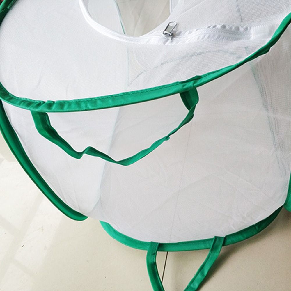 Yeşil Katlanabilir Böcek Kafes - Green Screen Collapsible incelemesi ve fiyatı