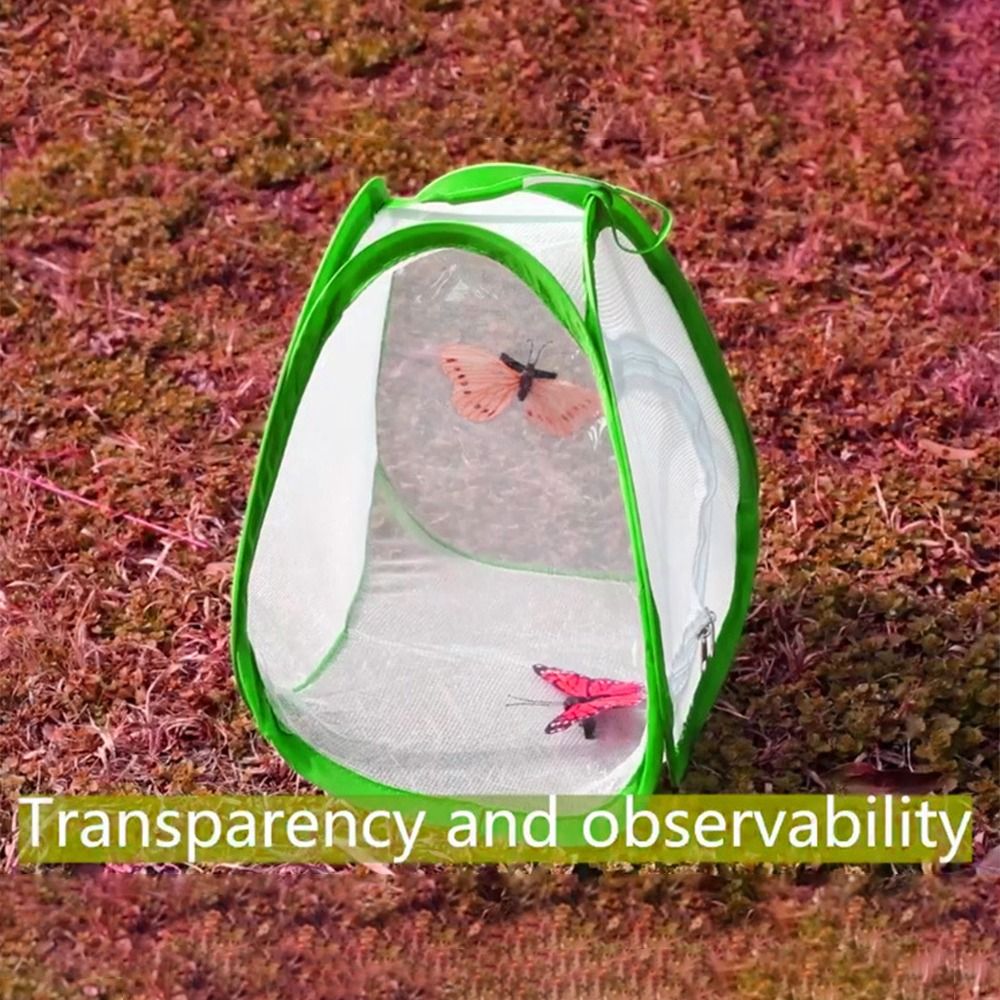 Yeşil Katlanabilir Böcek Kafes - Green Screen Collapsible incelemesi ve fiyatı